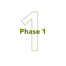 Phase 1